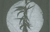 Dollond microscope image